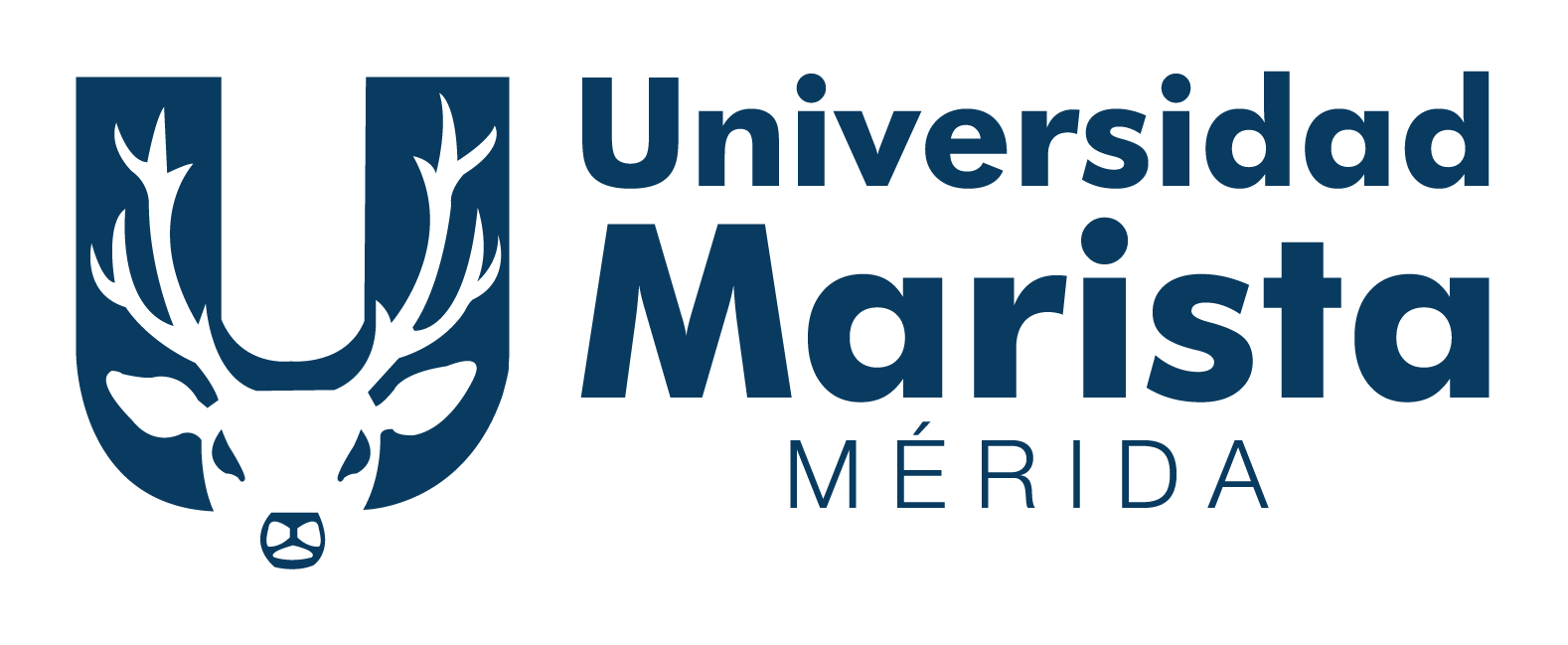 Universidad Marista