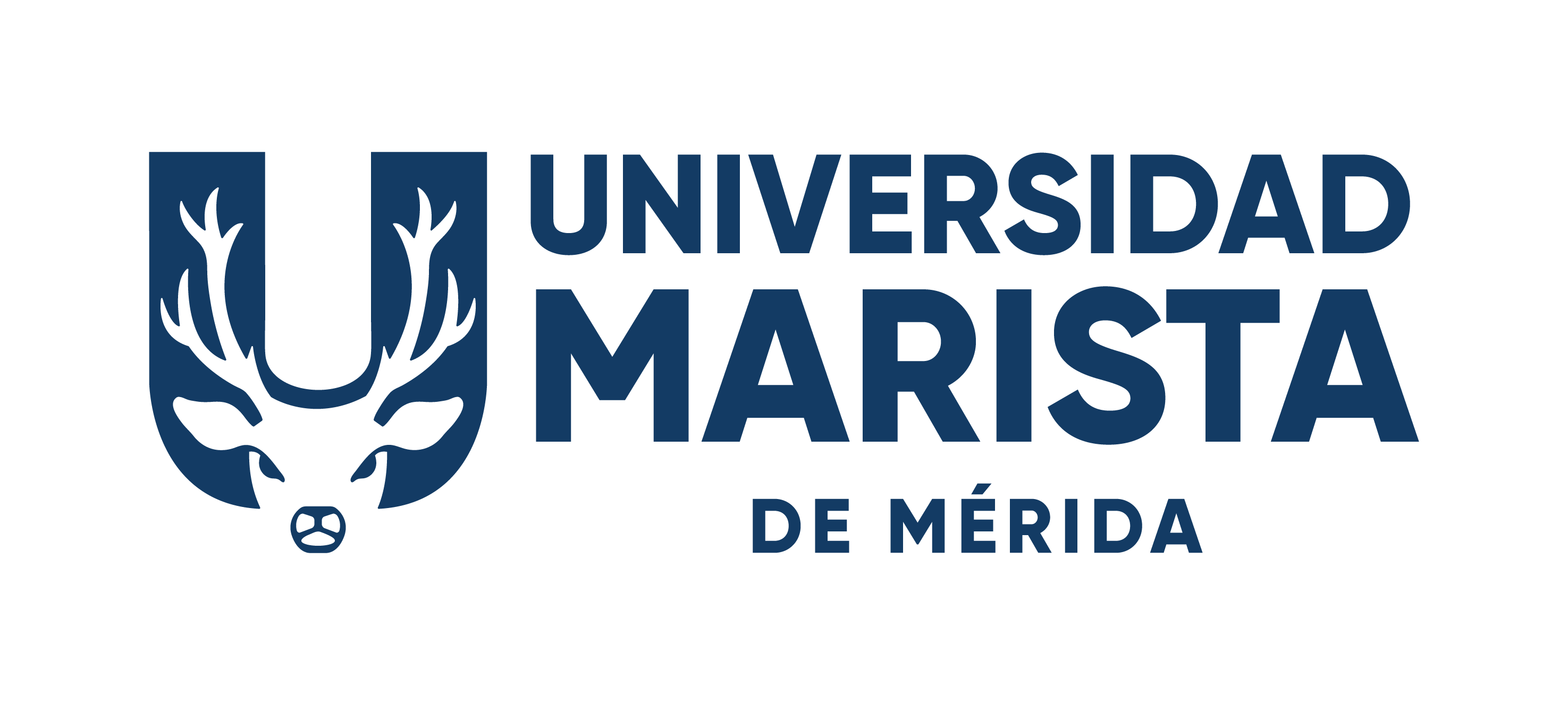 Universidad Marista